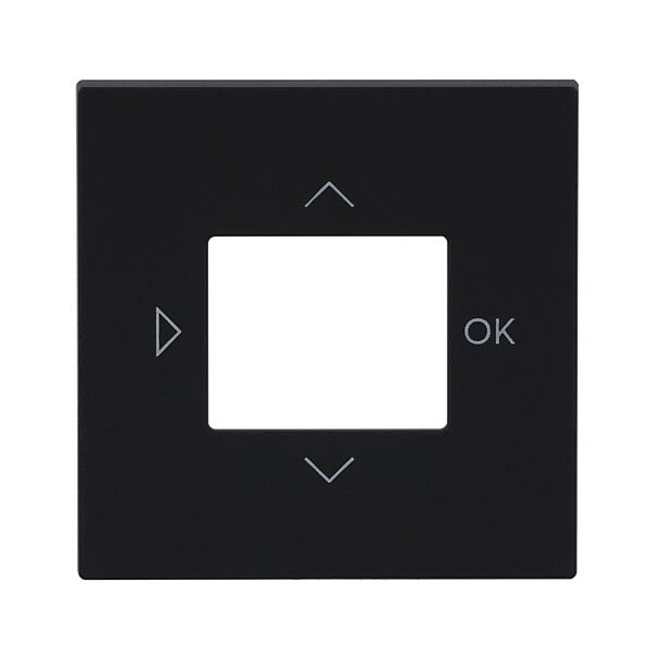 Busch-Jaeger Zentralscheibe f. LCD Display 6435-45M